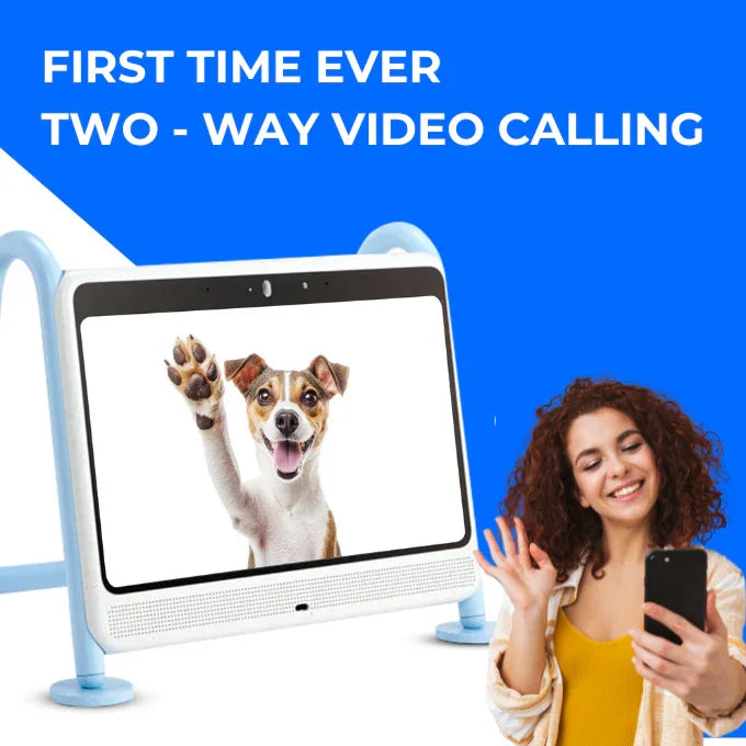 DOGSPLAY - SMART TV FOR DOGS Dogie TV
