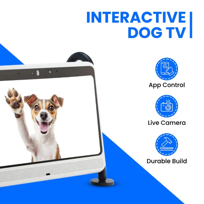 DOGSPLAY - SMART TV FOR DOGS Dogie TV