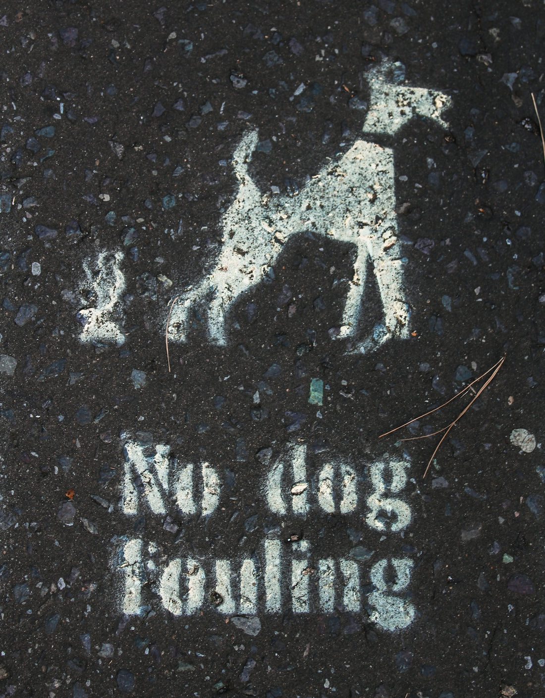 white no dog fouling print