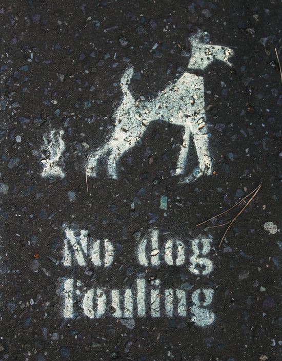 white no dog fouling print