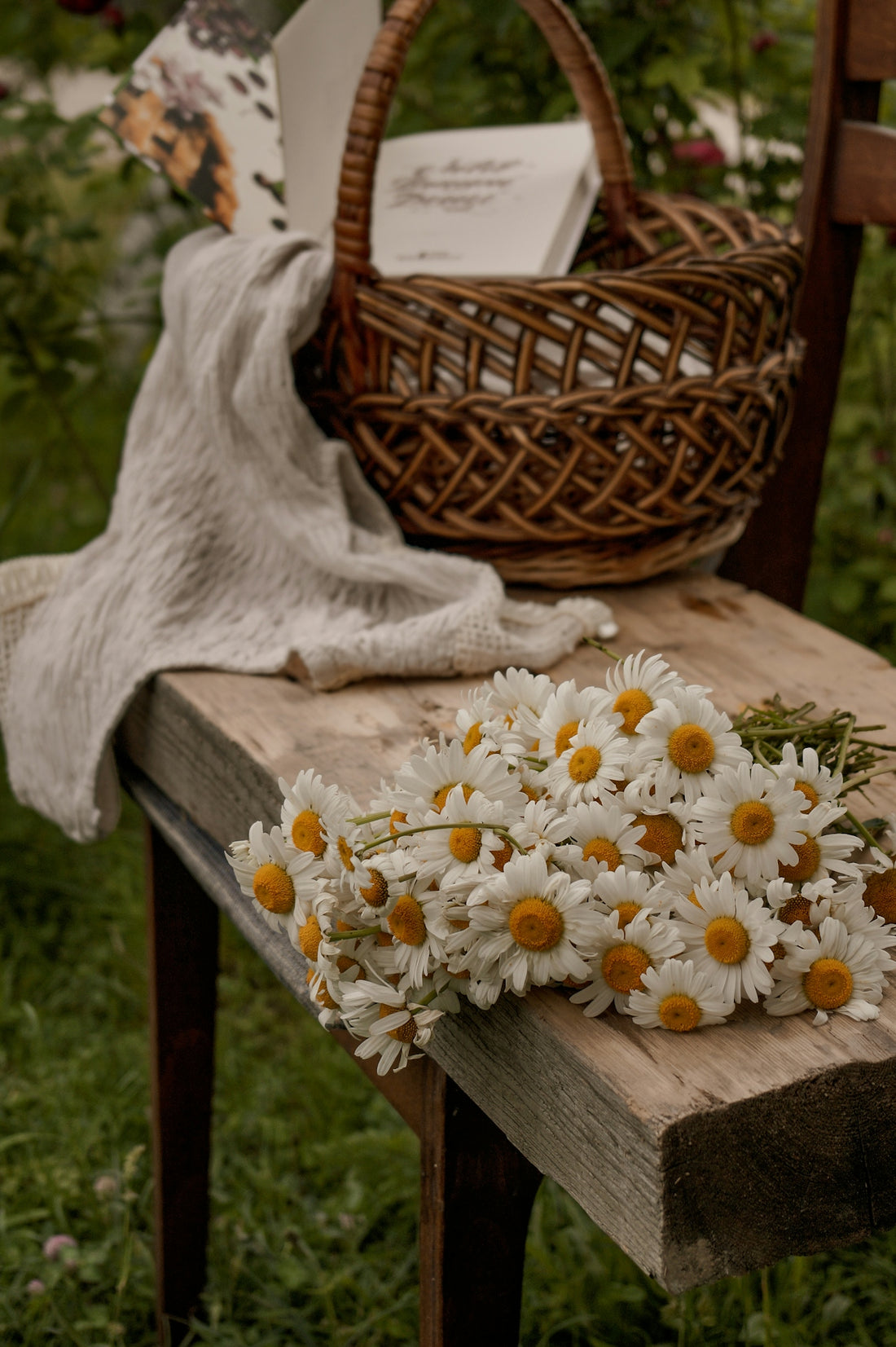white and yellow flowers on brown wooden table