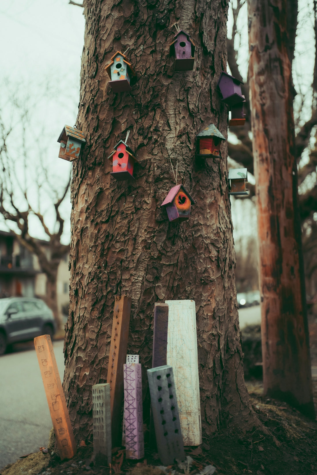 a tree with a bunch of bird houses on it
