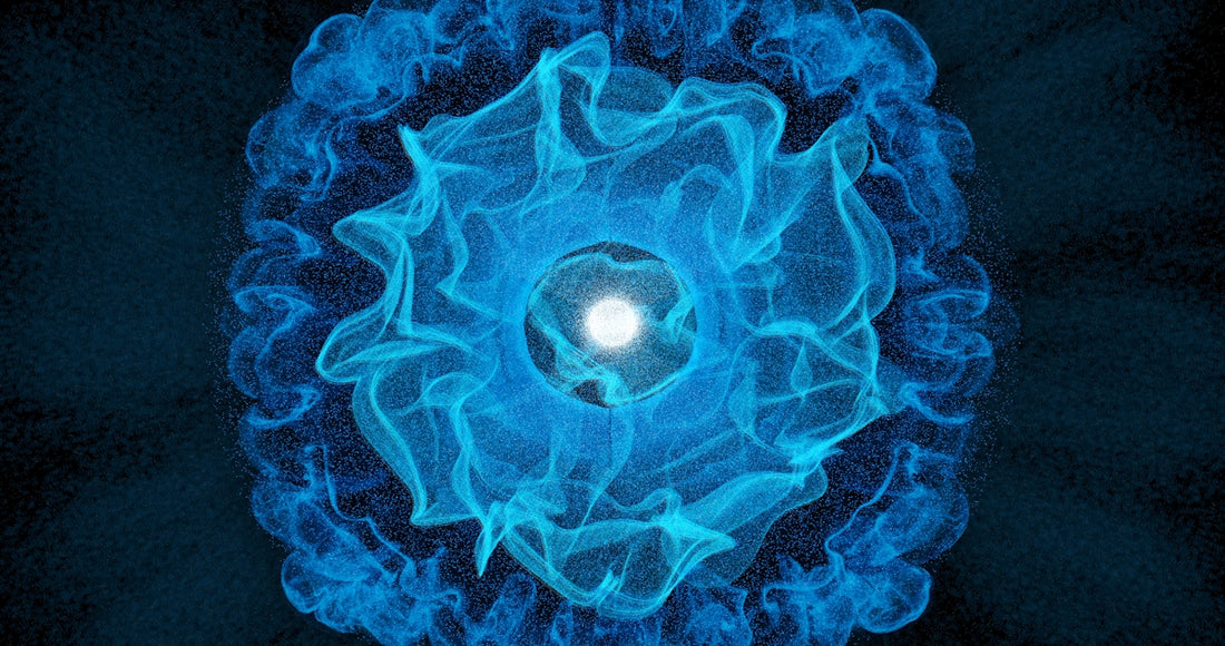 A blue flower with a white center on a black background