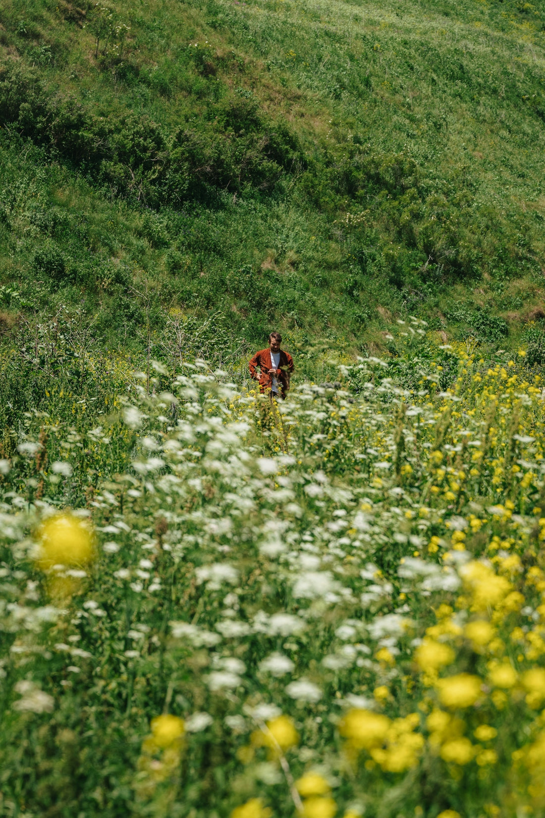 A person stands in a field of wildflowers