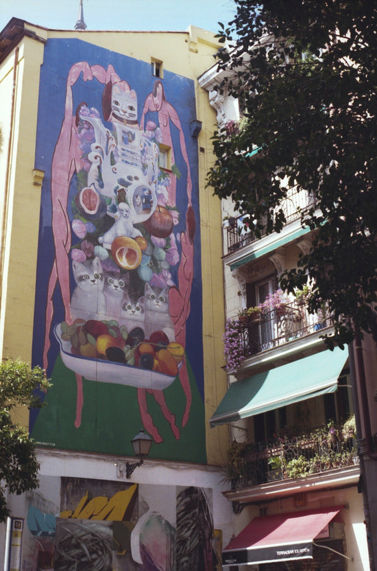 Large mural of cats and fruit on building