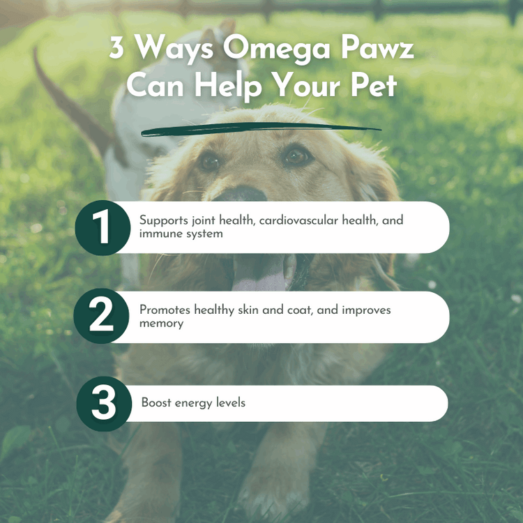 Omega Pawz - Liquid Omega 3 Oil for Dogs and Cats Animals & Pet Supplies by Dr. Ruth Roberts