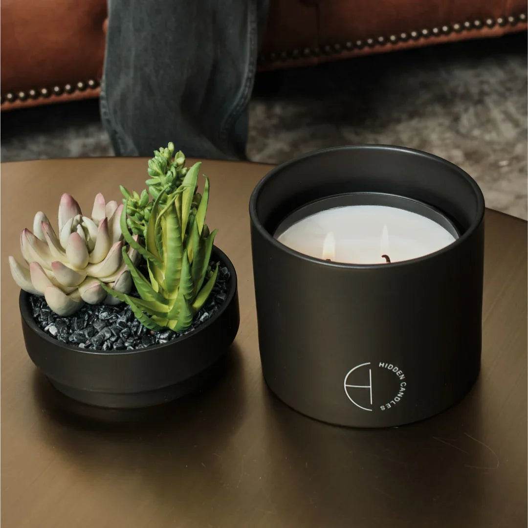 The Hidden Candle Succulent & Candle by Hidden Candles