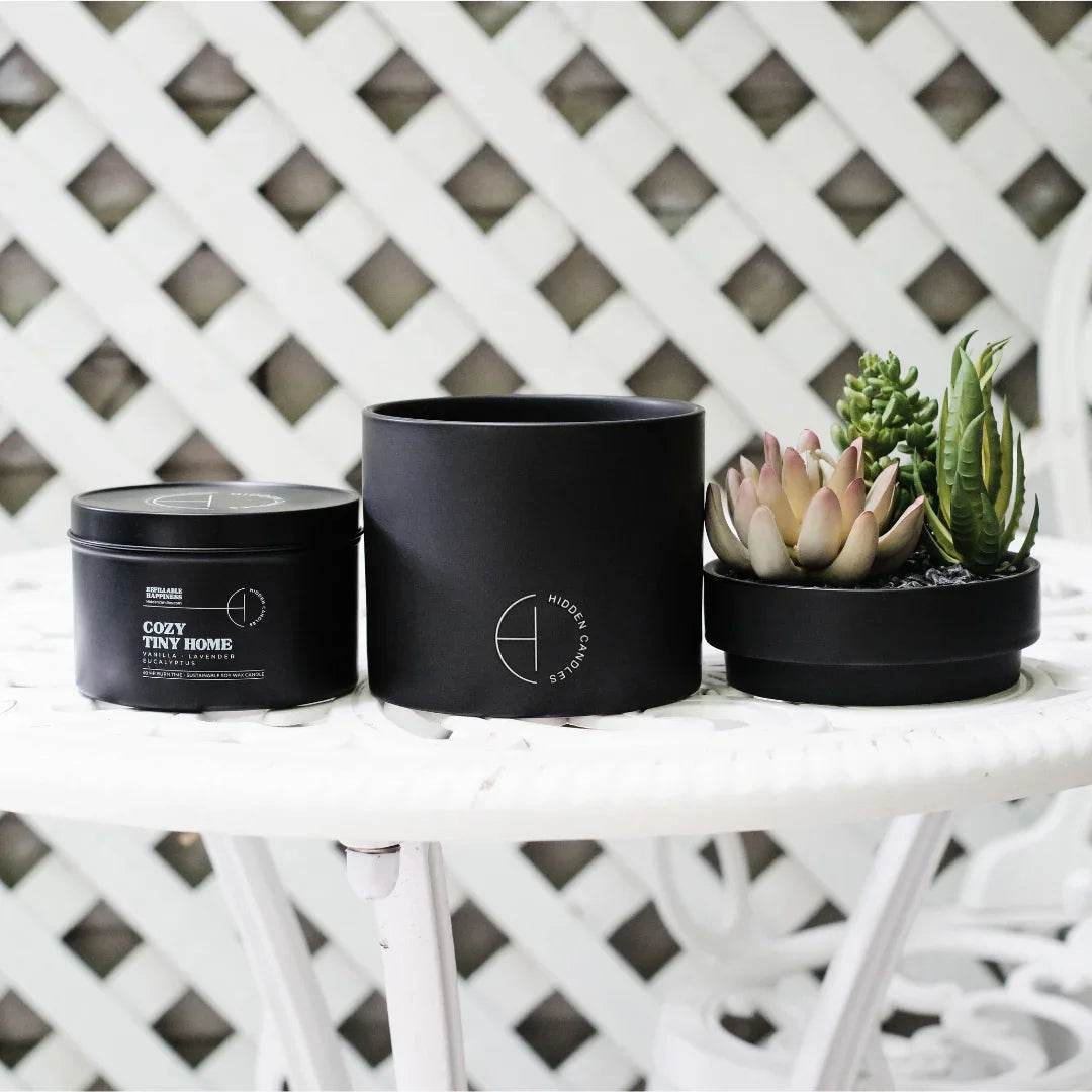 The Hidden Candle Succulent & Candle by Hidden Candles
