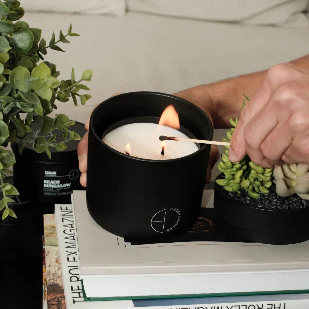 The Hidden Candle Succulent & Candle by Hidden Candles