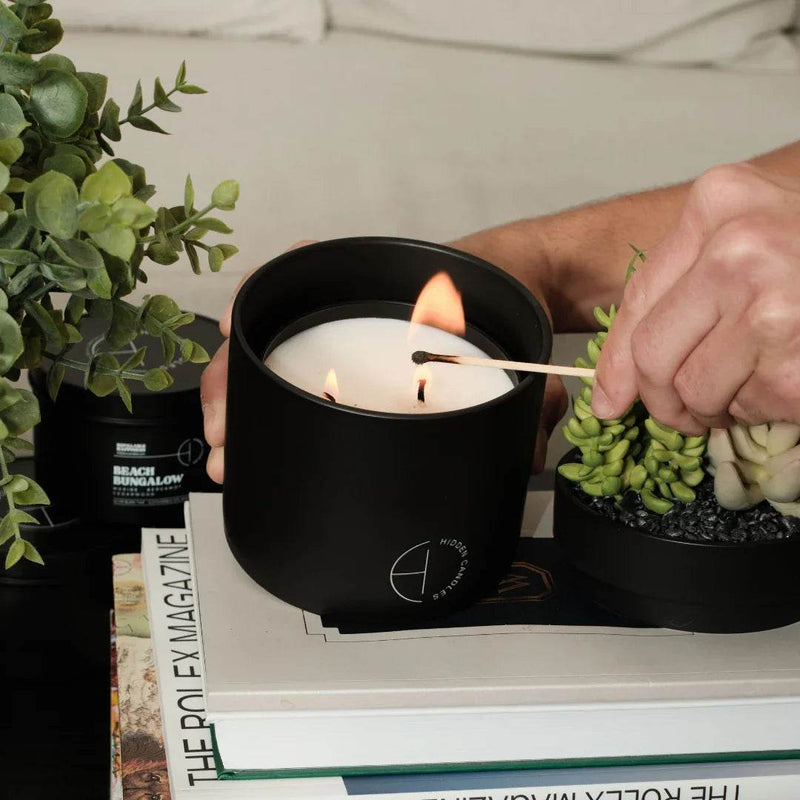 The Hidden Candle Succulent & Candle by Hidden Candles