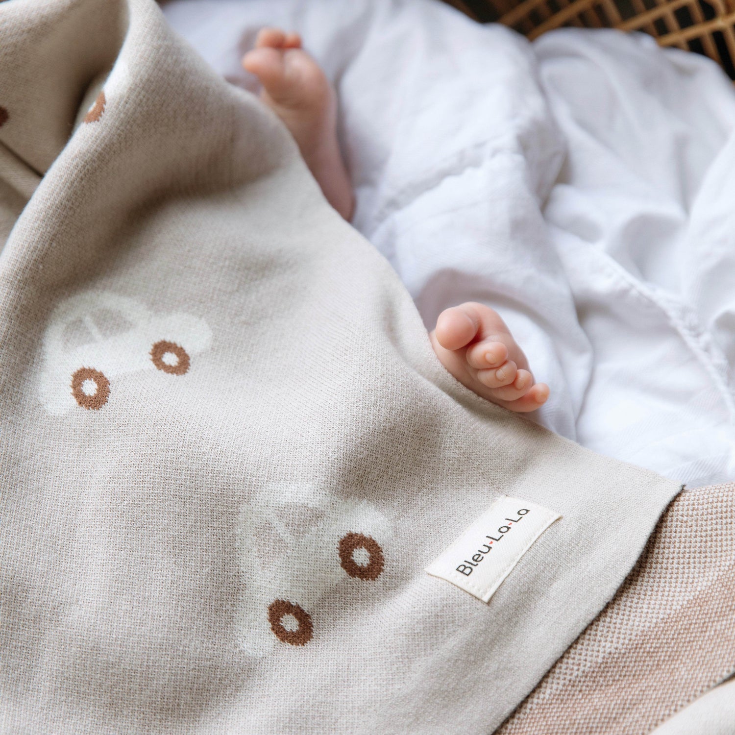 Whimsy Collection - Luxury 100% Cotton Knit Swaddle Baby Blanket - GiFTiFY