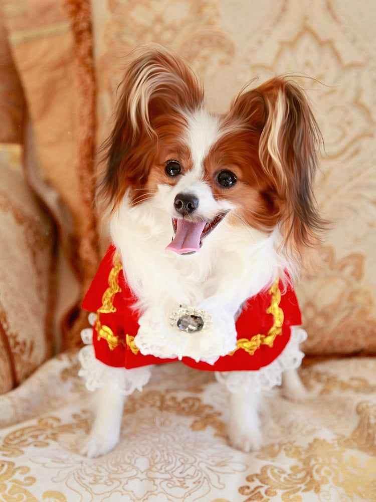 Handmade Regal French Court Dog Clothes Tailcoat Luxury Pet Suit With Shirt Lace and Gold Detailing - GiFTiFY