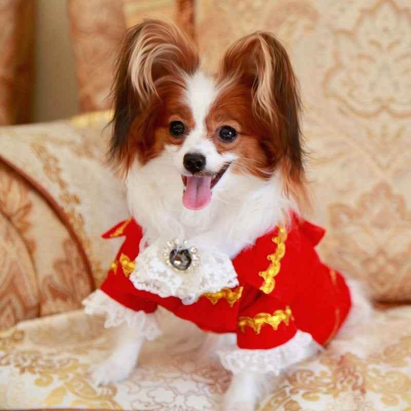 Handmade Regal French Court Dog Clothes Tailcoat Luxury Pet Suit With Shirt Lace and Gold Detailing - GiFTiFY