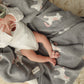 Whimsy Collection - Luxury 100% Cotton Knit Swaddle Baby Blanket