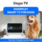 DOGSPLAY - SMART TV FOR DOGS Dogie TV