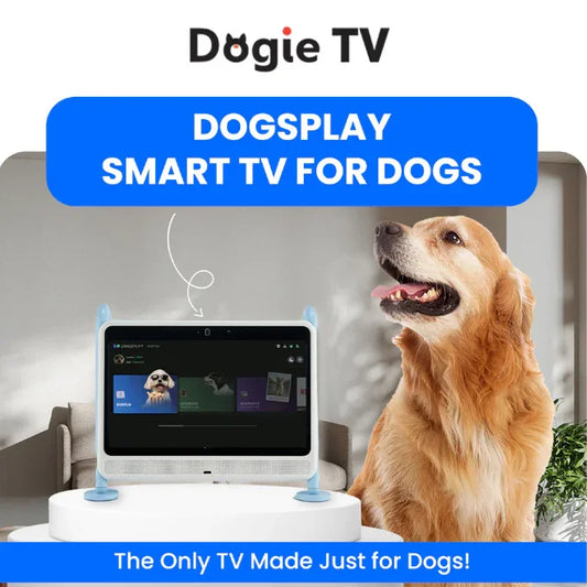 DOGSPLAY - SMART TV FOR DOGS Dogie TV