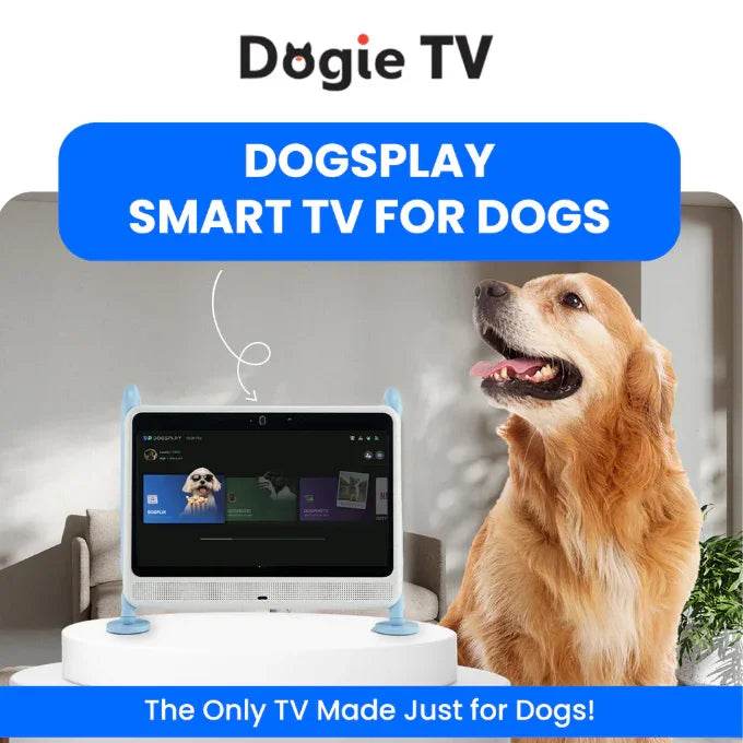 DOGSPLAY - SMART TV FOR DOGS Dog Supplies by Dogie TV