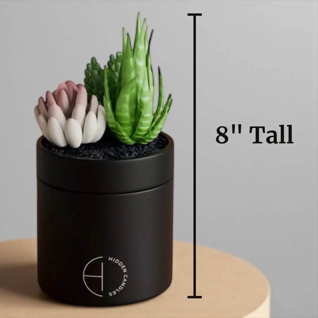The Hidden Candle Succulent & Candle by Hidden Candles