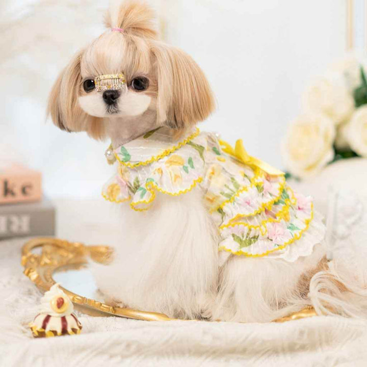 Luxury design dog dress tulip chiffon 2 colors - GiFTiFY