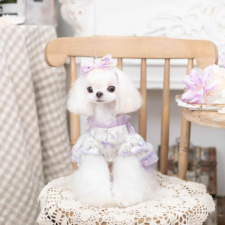 Luxury Japanese design Dog dress chiffon little bow floral - GiFTiFY