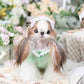 Luxury design dog Lacy Princess Puff Dress
