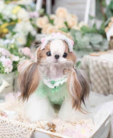 Luxury design dog Lacy Princess Puff Dress - GiFTiFY