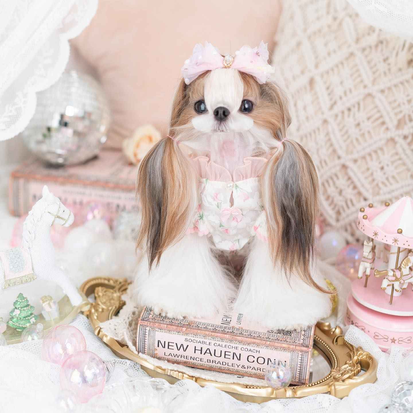Luxury Japanese design Dog dress chiffon little bow floral
