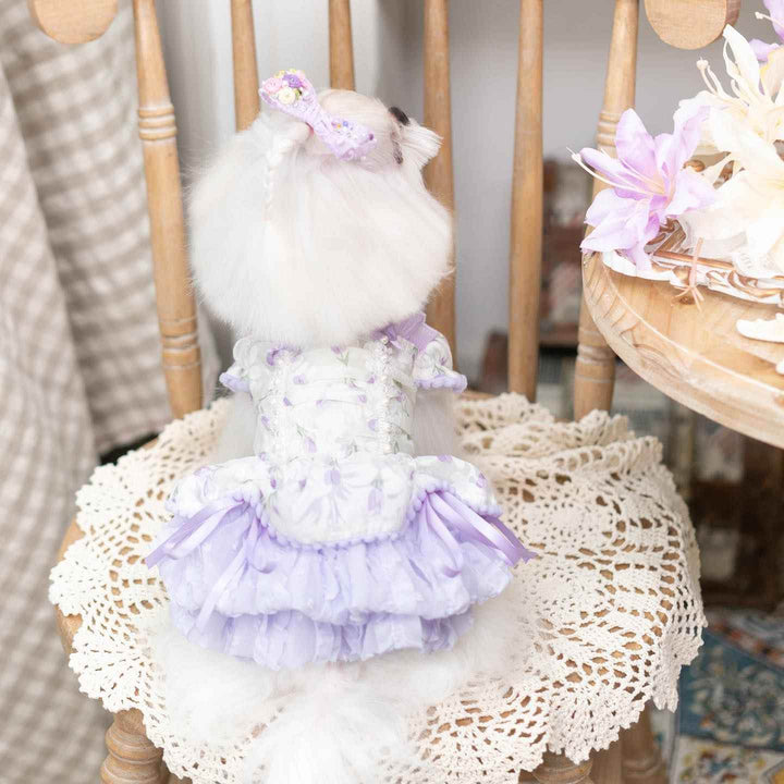Luxury Japanese design Dog dress chiffon little bow floral - GiFTiFY