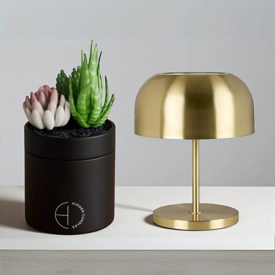 The Hidden Candle Succulent & Candle by Hidden Candles