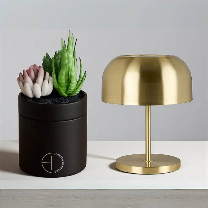 The Hidden Candle Succulent & Candle by Hidden Candles