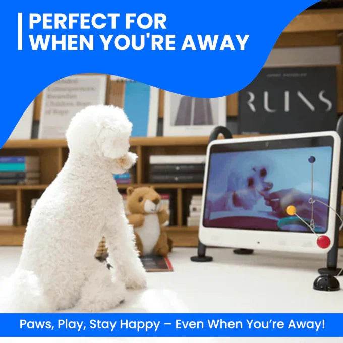 DOGSPLAY - SMART TV FOR DOGS Dog Supplies by Dogie TV