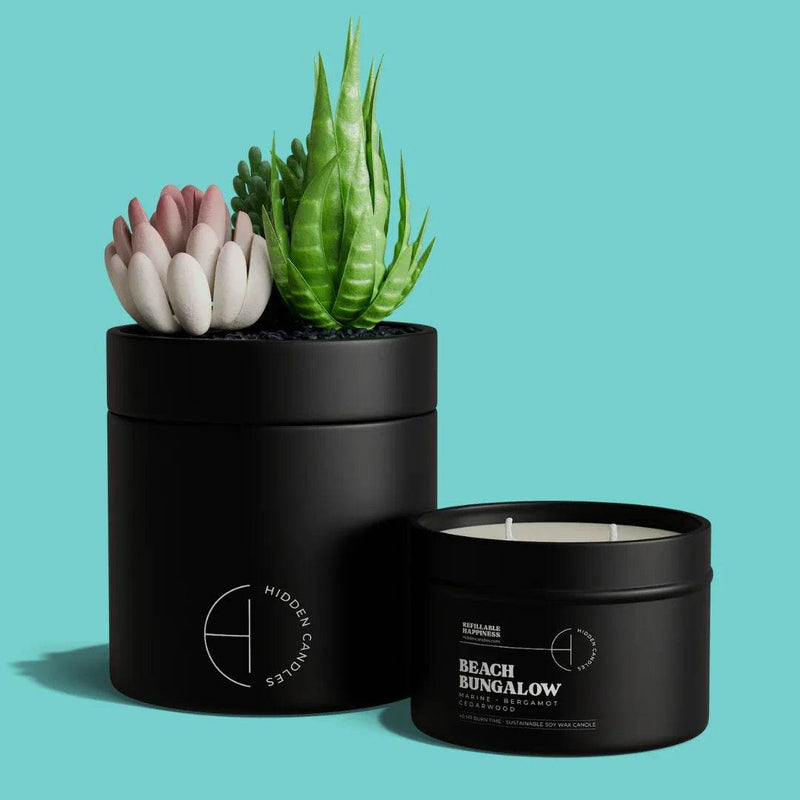 The Hidden Candle Succulent & Candle by Hidden Candles