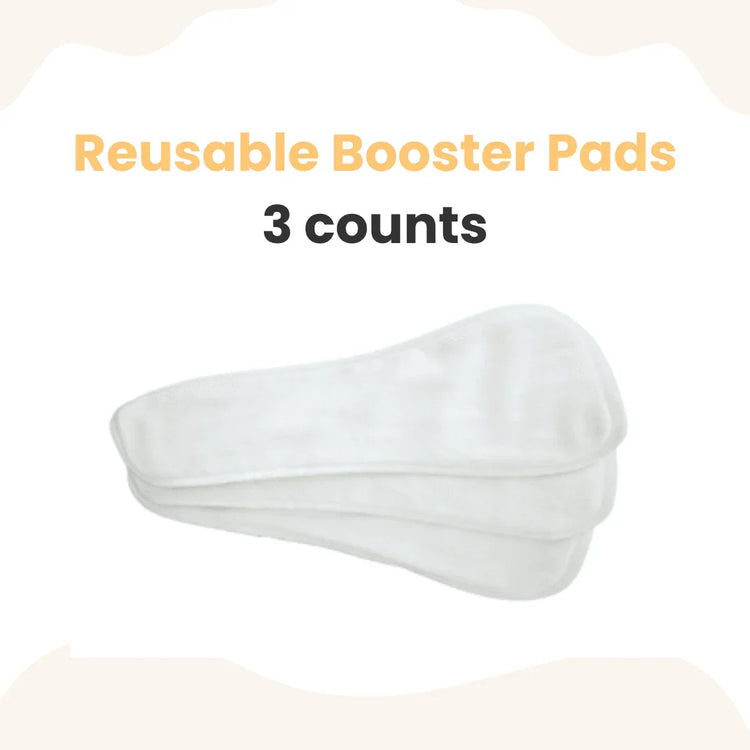 MyBeeBear Reusable Booster Pad (3 counts) - GiFTiFY