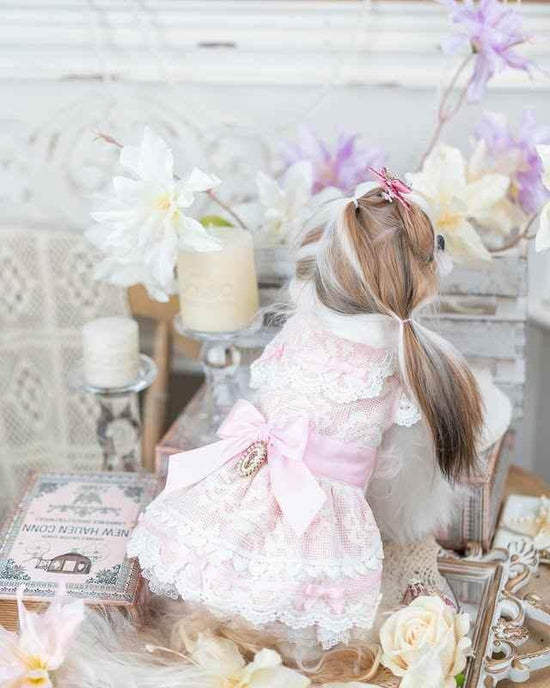 Luxury design dog dress vintage lace - GiFTiFY