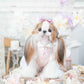 Luxury design dog dress vintage lace
