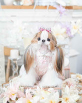 Luxury design dog dress vintage lace - GiFTiFY