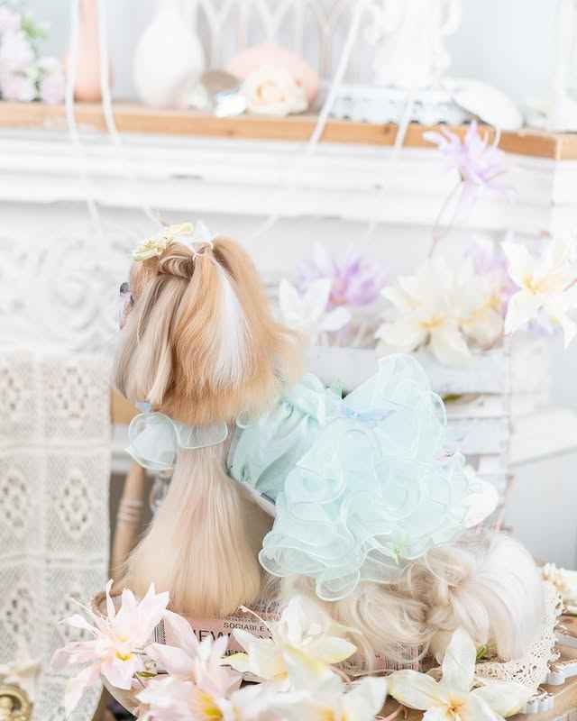 Luxury design dog dress diamond butterfly 2 colors