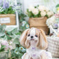 Luxury design dog dress velvet rose 2 colors