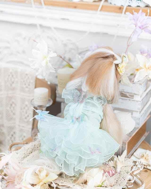 Luxury design dog dress diamond butterfly 2 colors - GiFTiFY