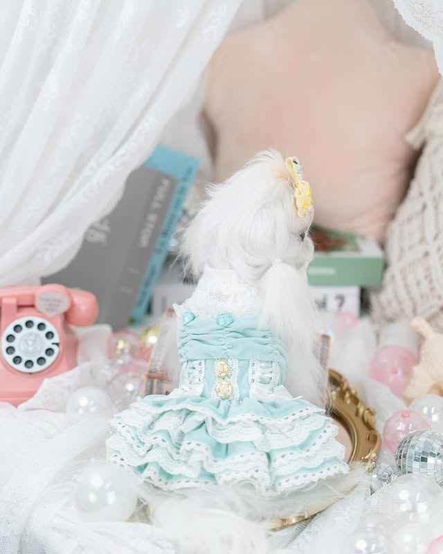 Luxury design dog dress velvet rose 2 colors - GiFTiFY