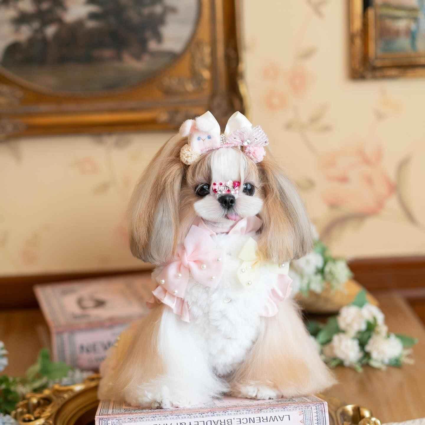 Luxury design Pearl Rose Fur dog Princess Dress - GiFTiFY
