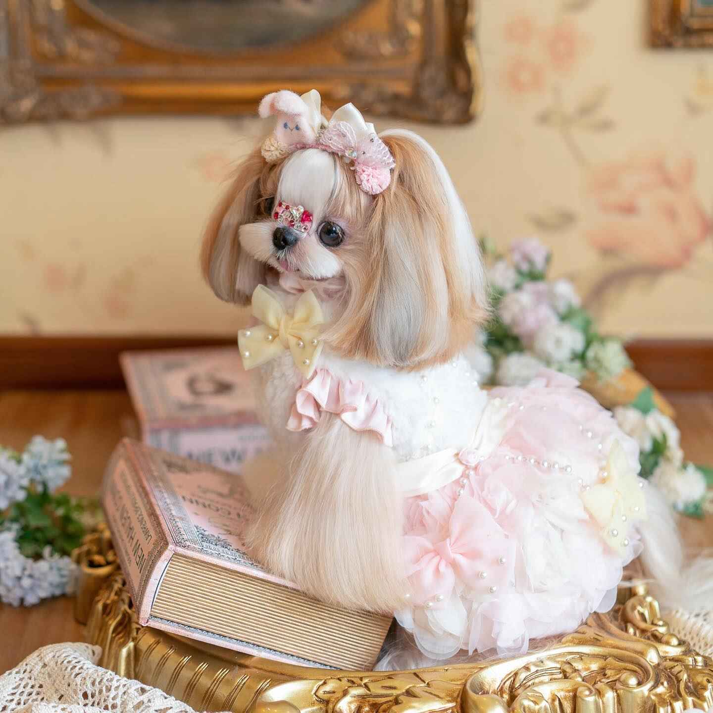 Luxury design Pearl Rose Fur dog Princess Dress