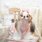 Luxury design high quality dog dress lace big bow