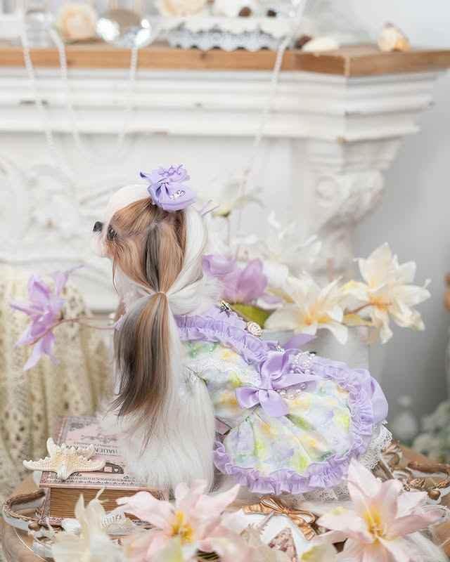 Luxury design dog dress pearls chain accessories 2 colors - GiFTiFY