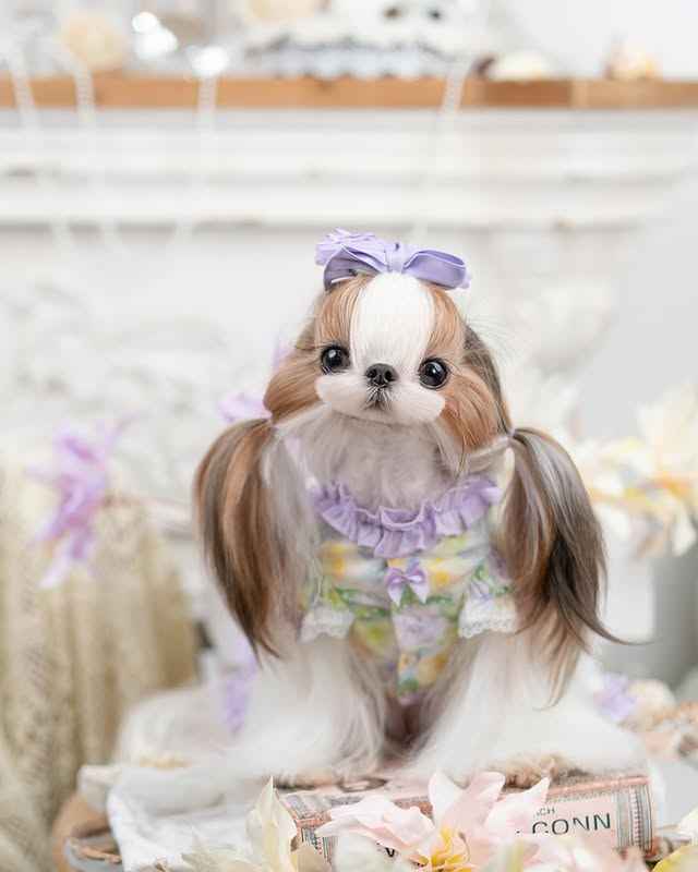 Luxury design dog dress pearls chain accessories 2 colors