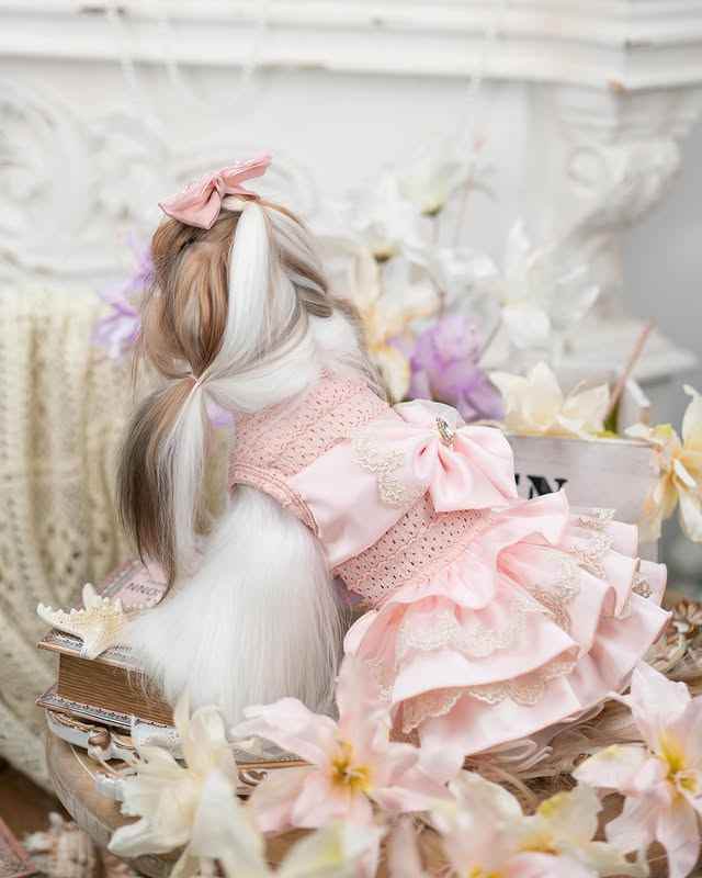 Luxury design high quality dog dress lace big bow - GiFTiFY