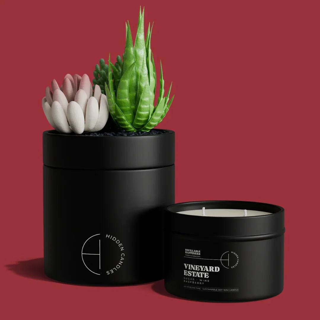The Hidden Candle Succulent & Candle by Hidden Candles