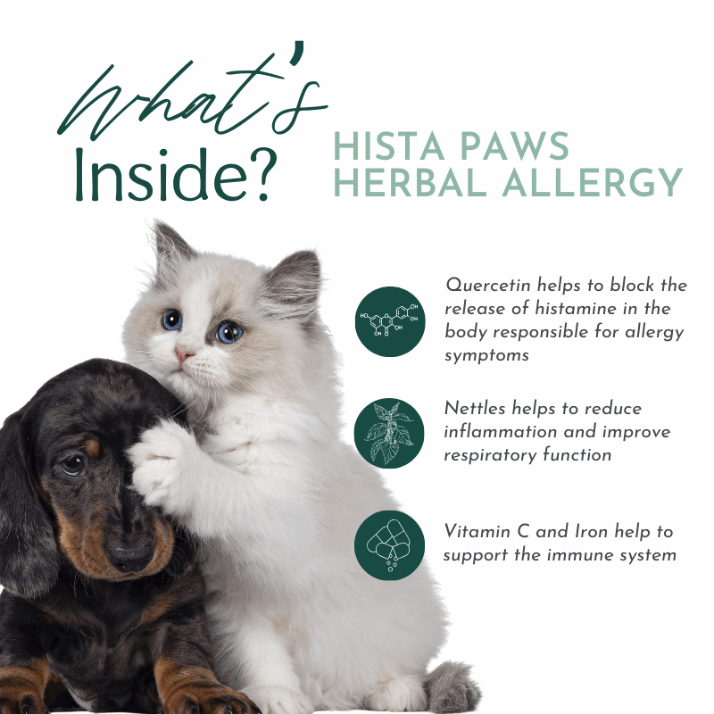 Hista Paws – with Quercetin for Dogs and Cats Vitamins & Supplements by Dr. Ruth Roberts