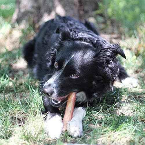 Brazilian Grass-Fed Beef Bully Sticks - GiFTiFY