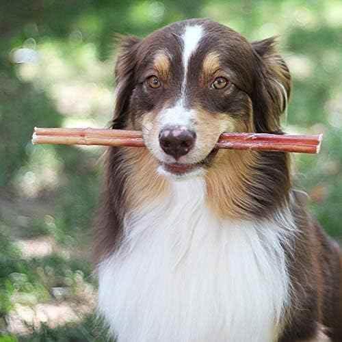 Brazilian Grass-Fed Beef Bully Sticks - GiFTiFY